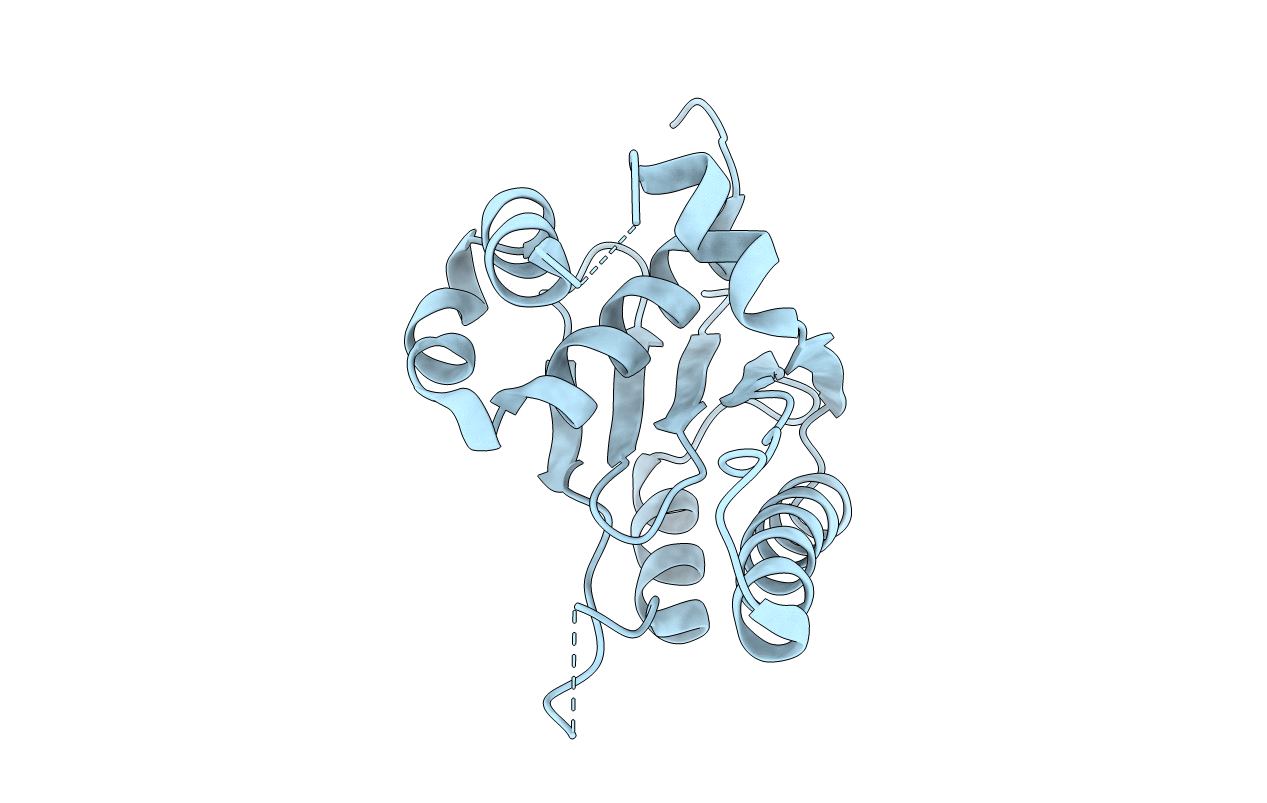 6KVN image