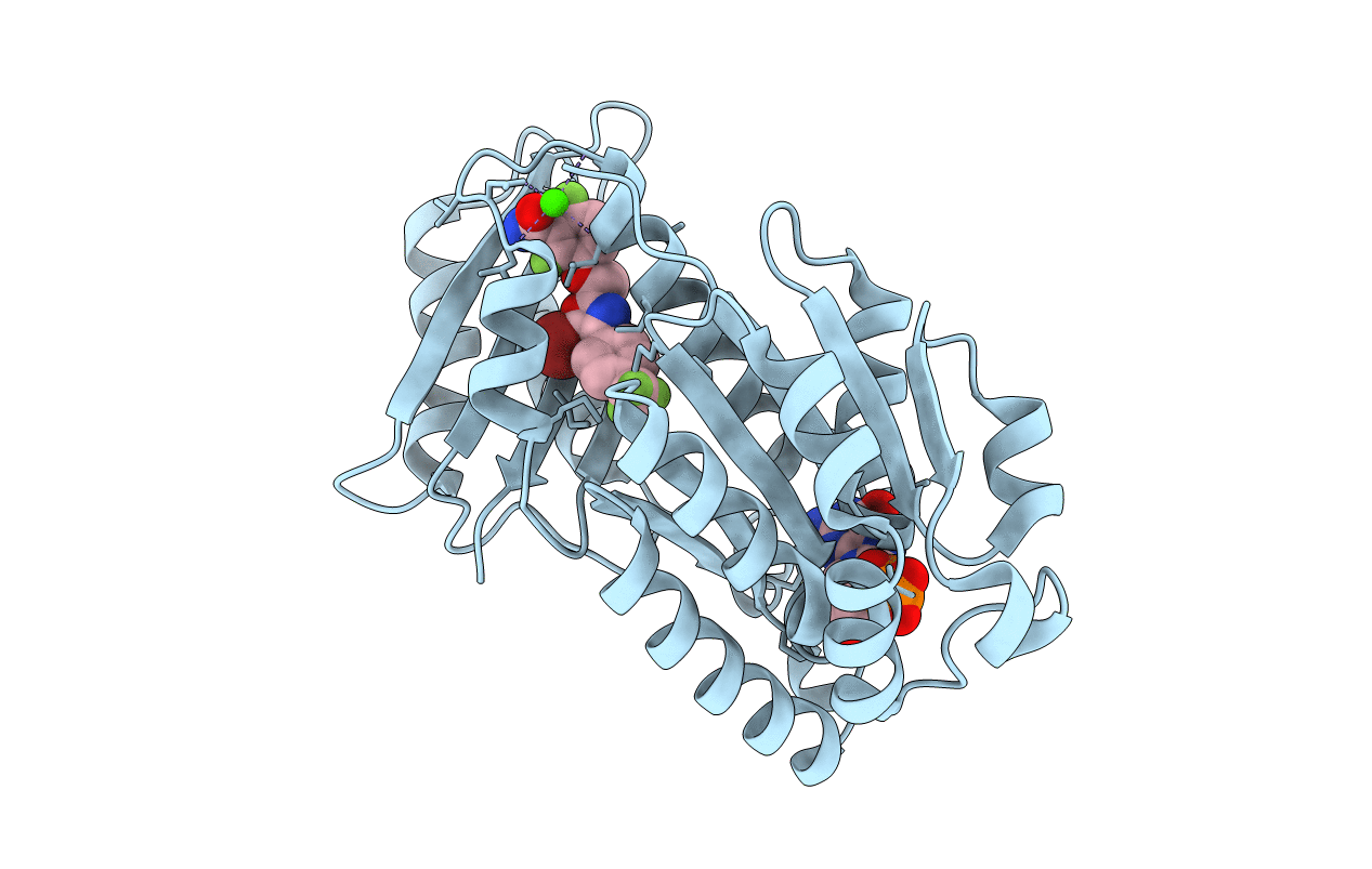 6KVP image
