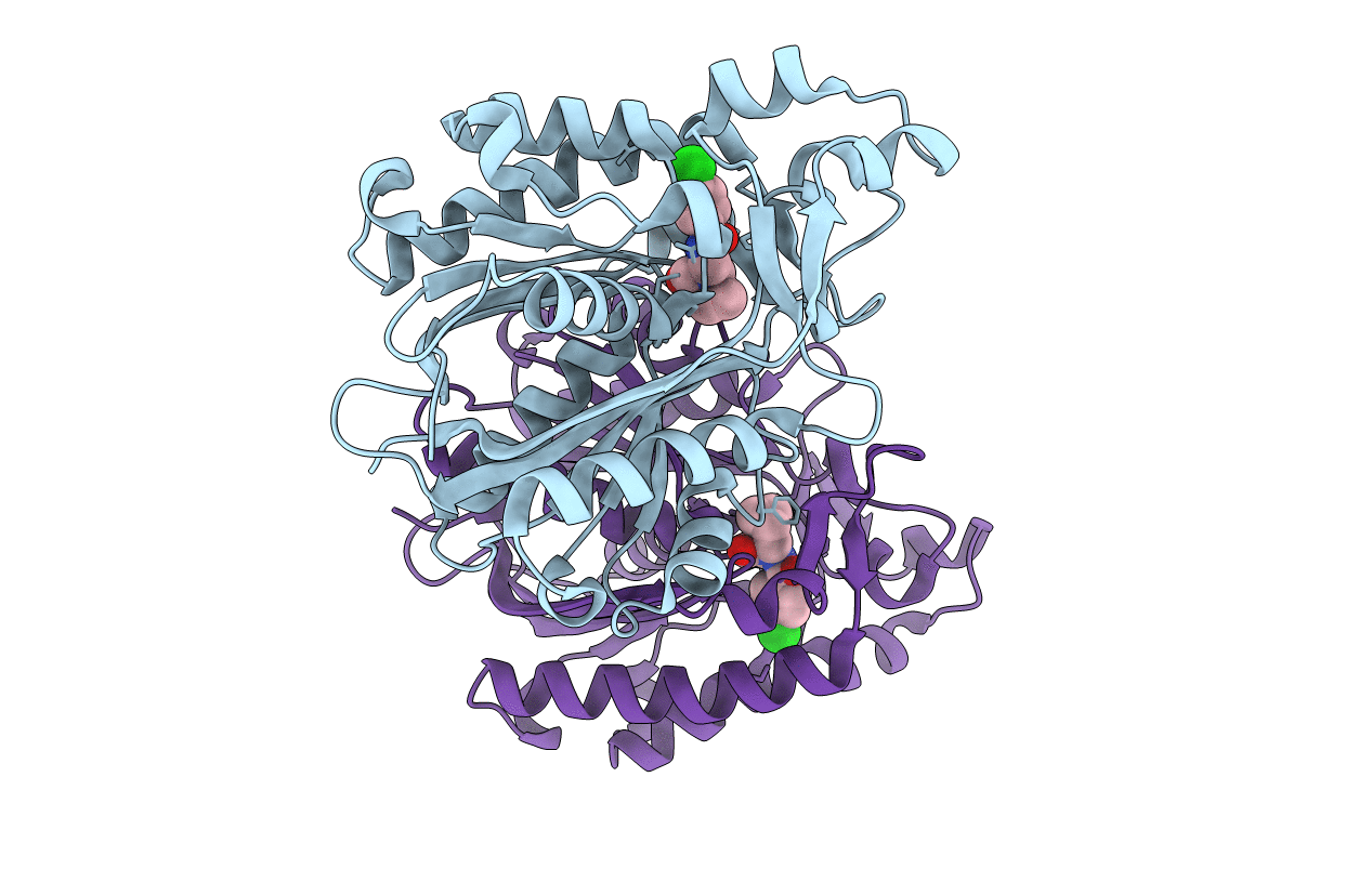 6KVS image