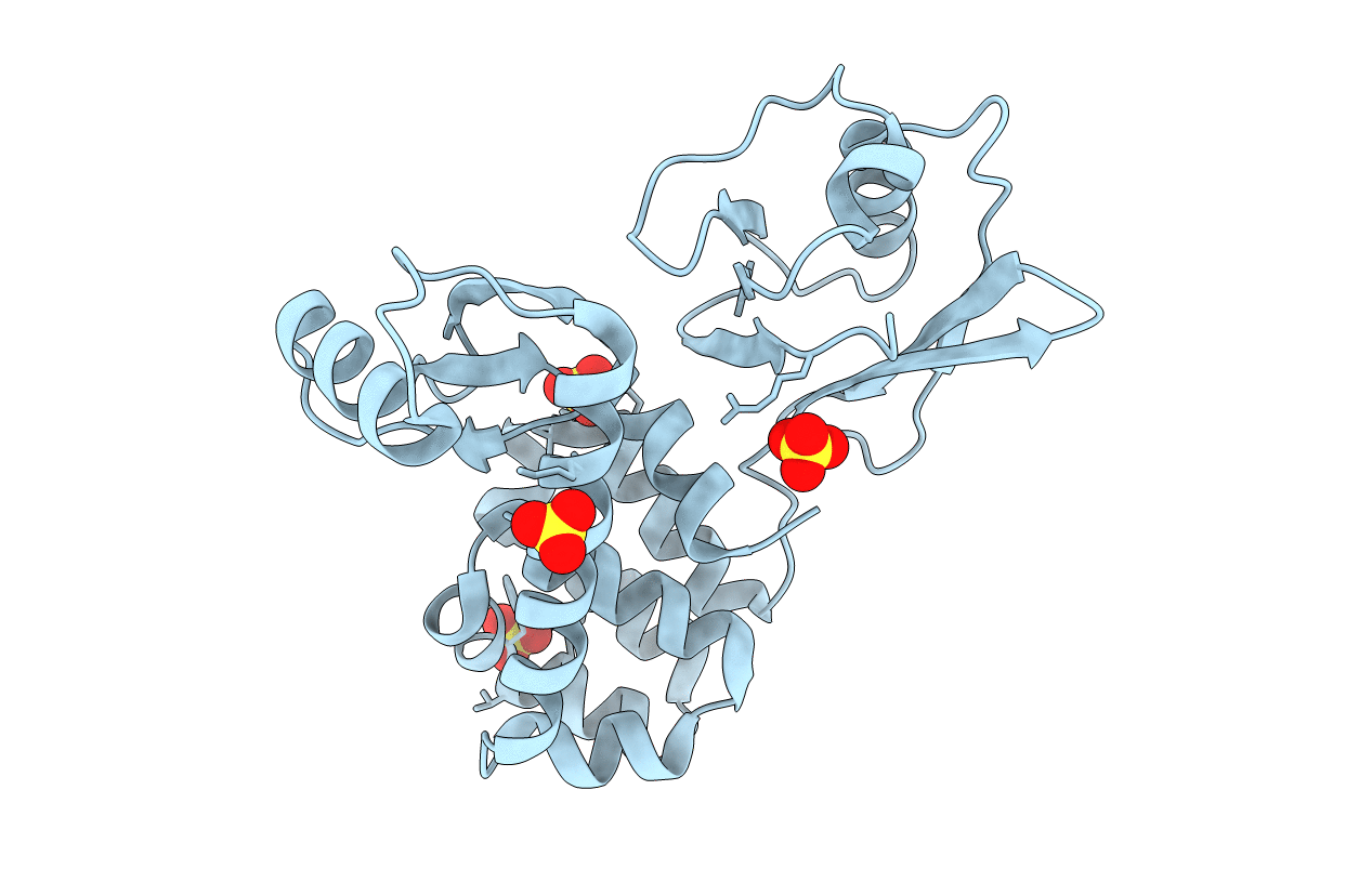 6KVX image