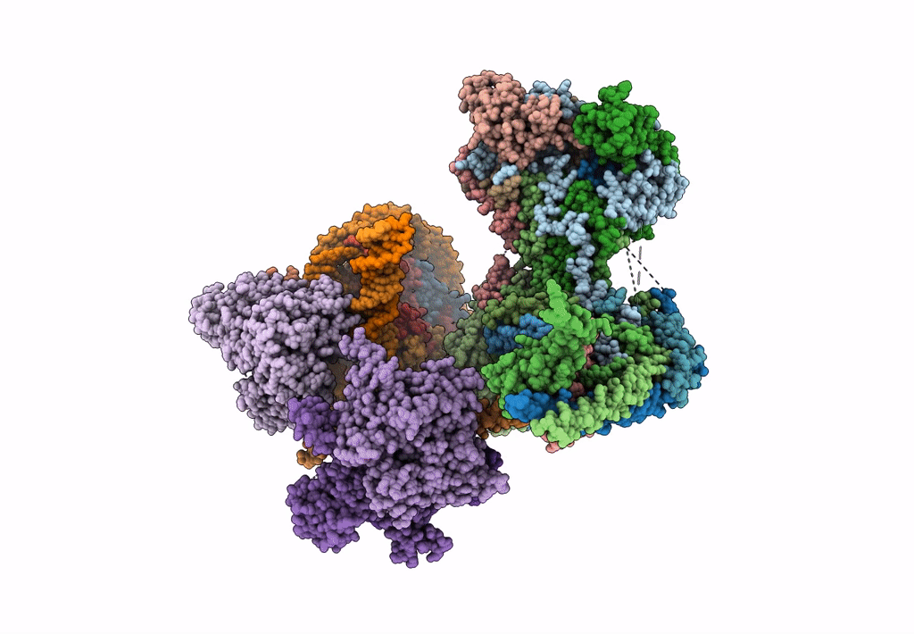 6KW3 image