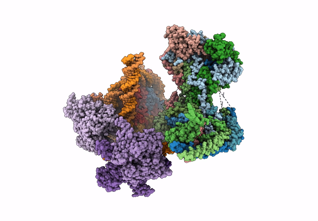 6KW4 image