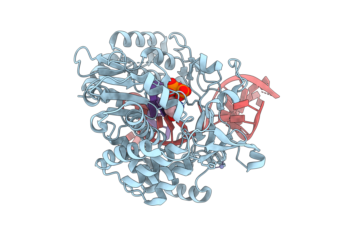 6KWR image