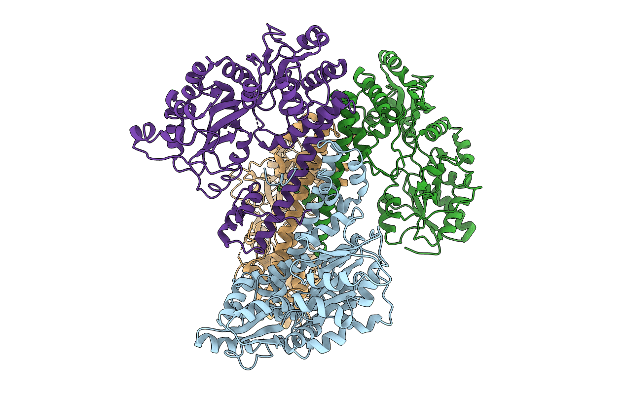 6KXG image