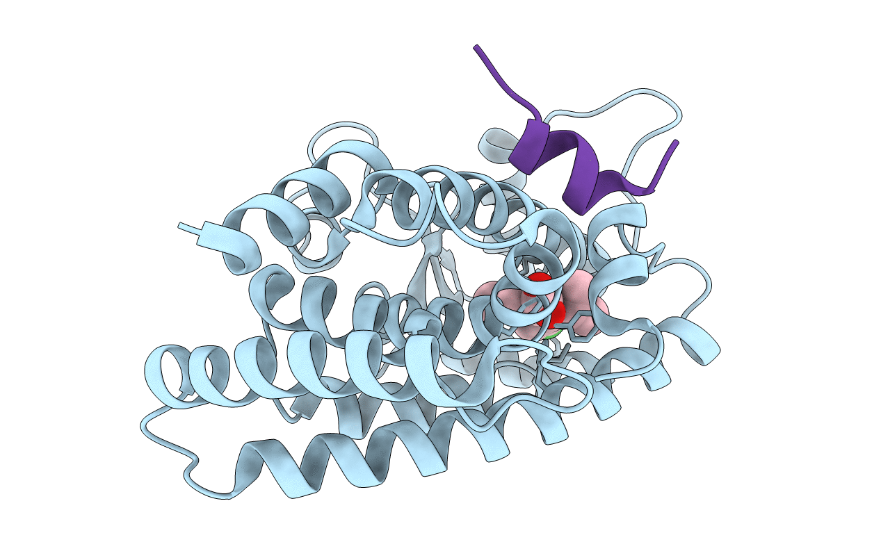 6KXX image