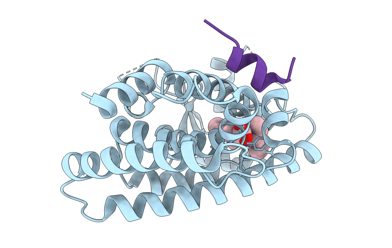 6KXY image