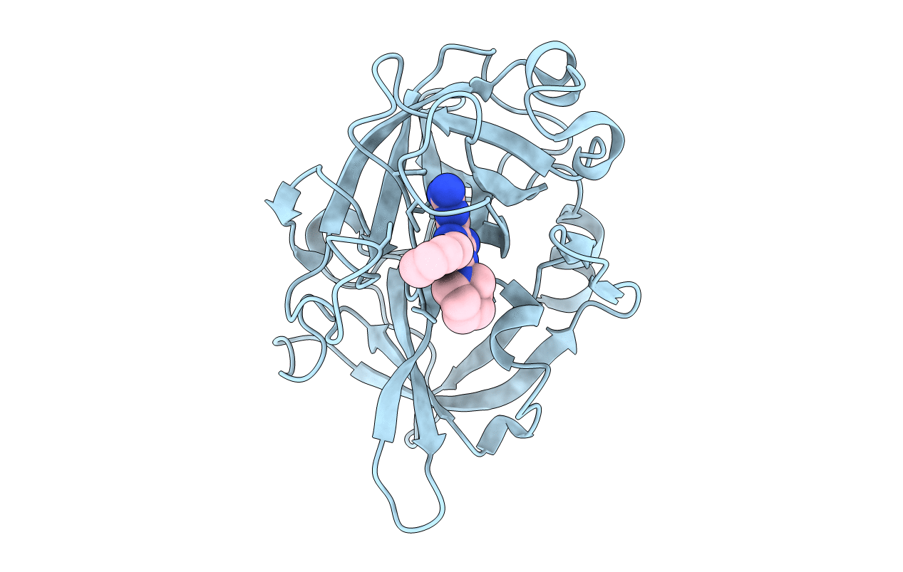 6L05 image