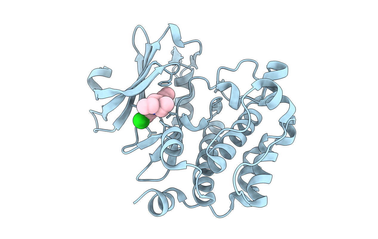 6L11 image