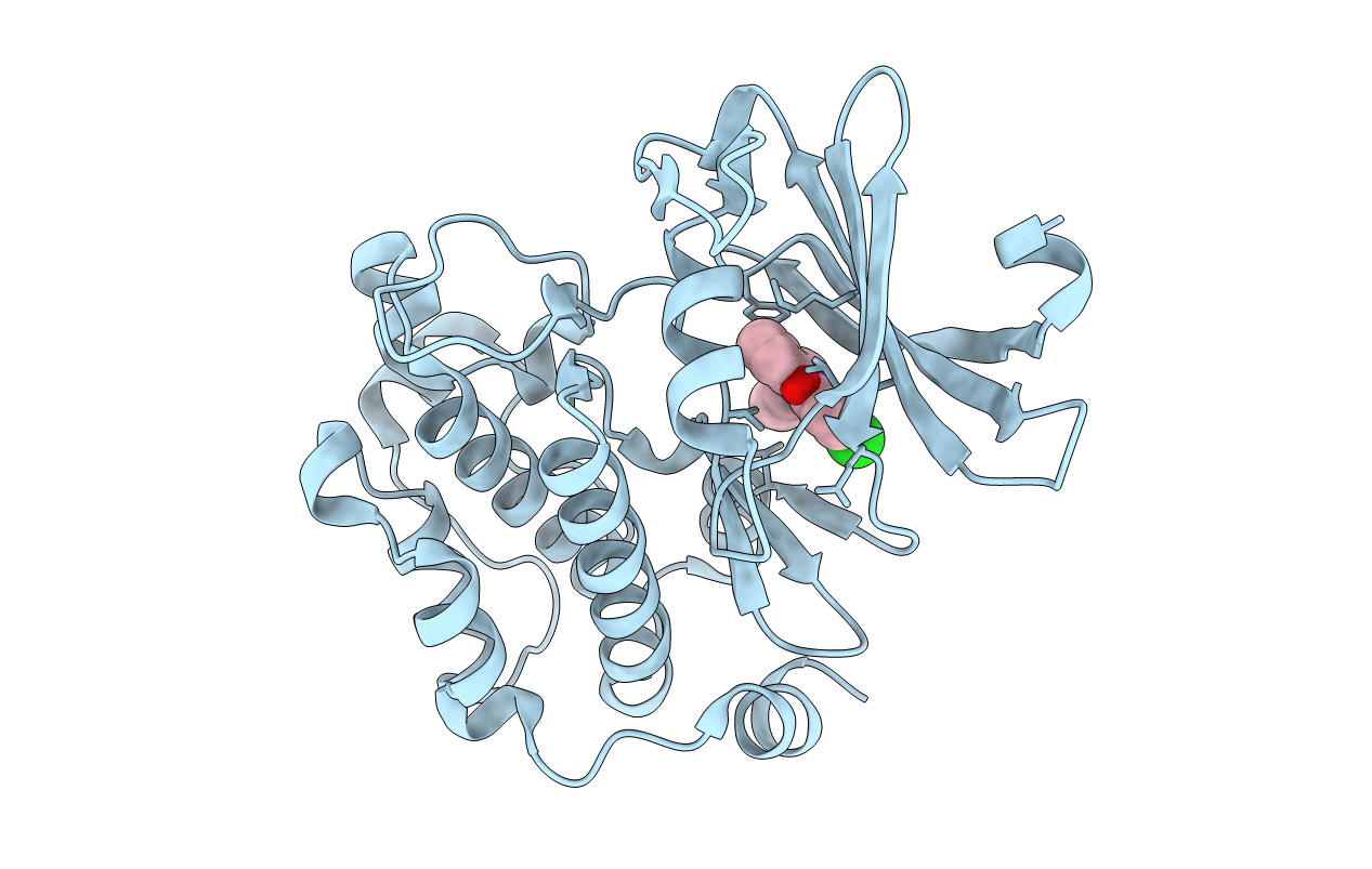 6L13 image