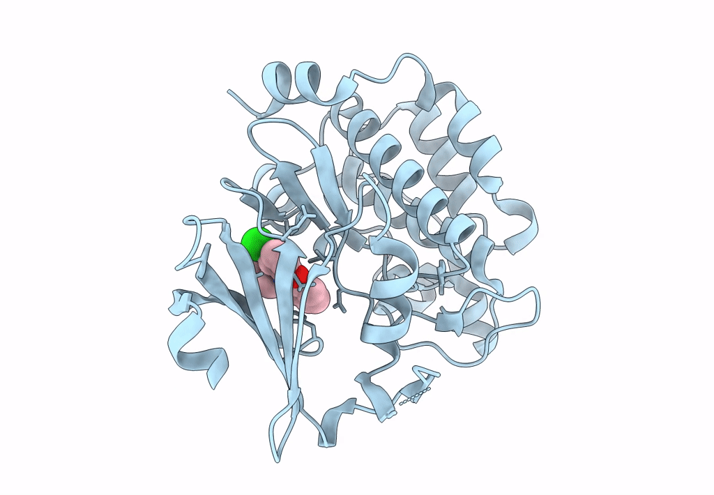 6L14 image
