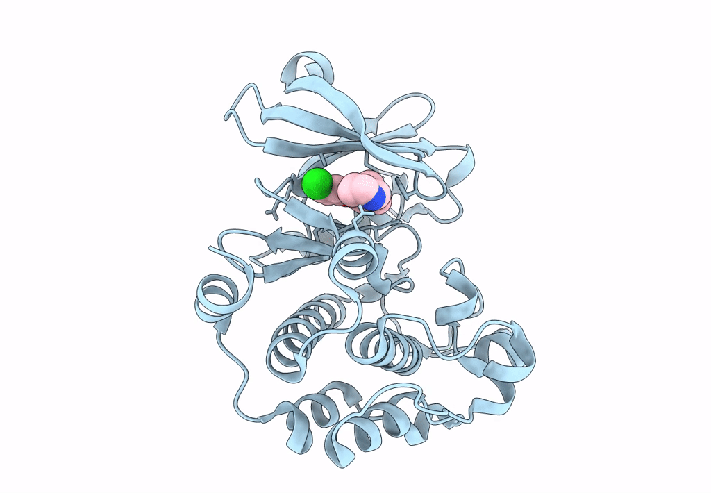 6L15 image