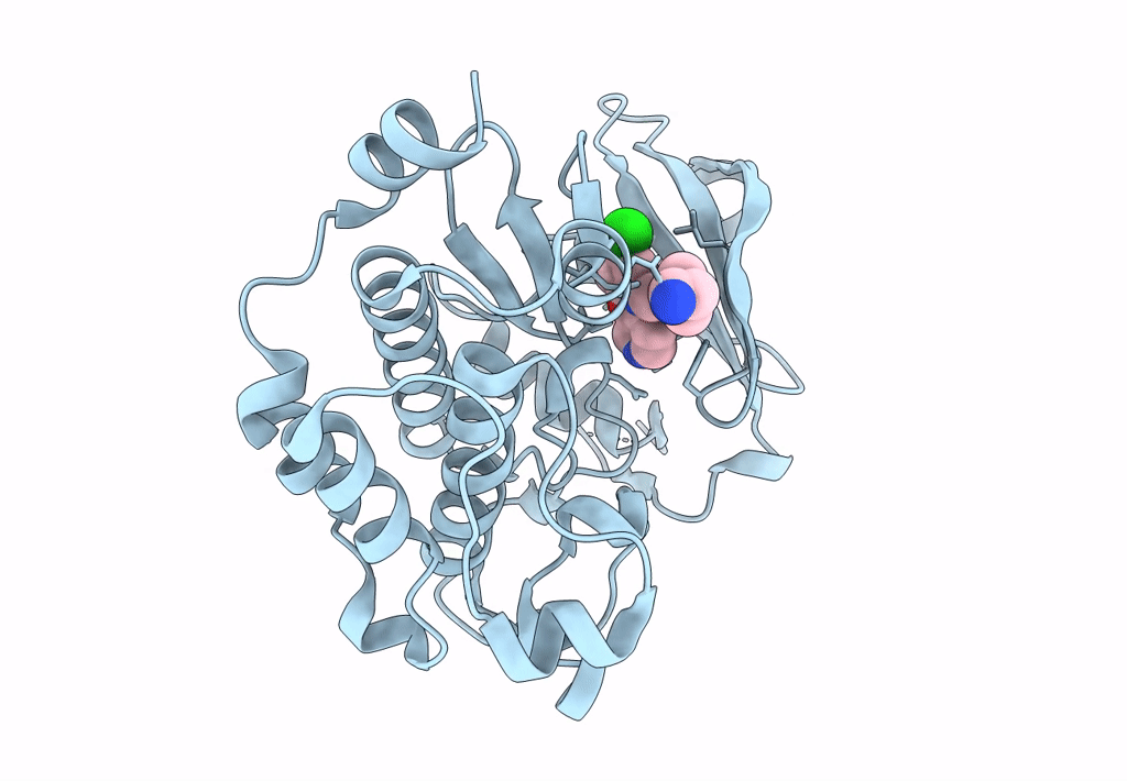 6L16 image