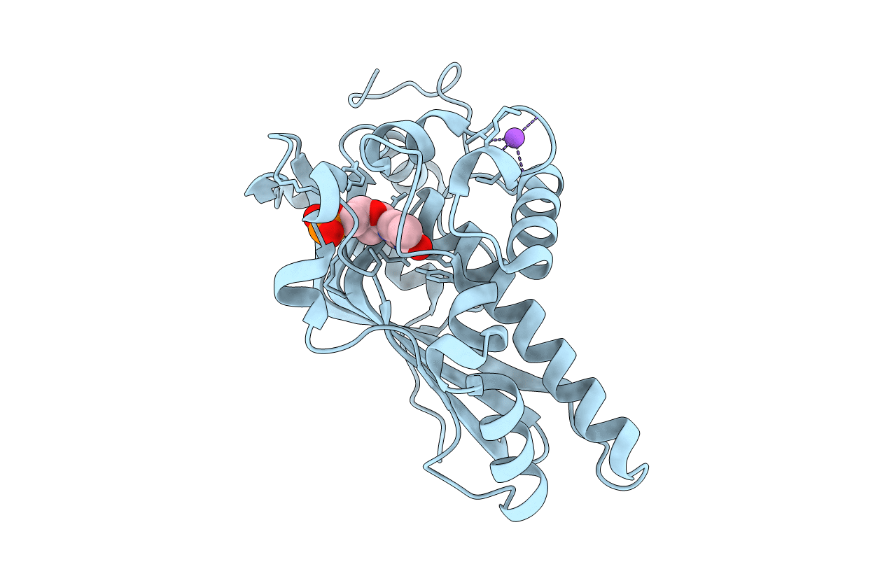 6L18 image