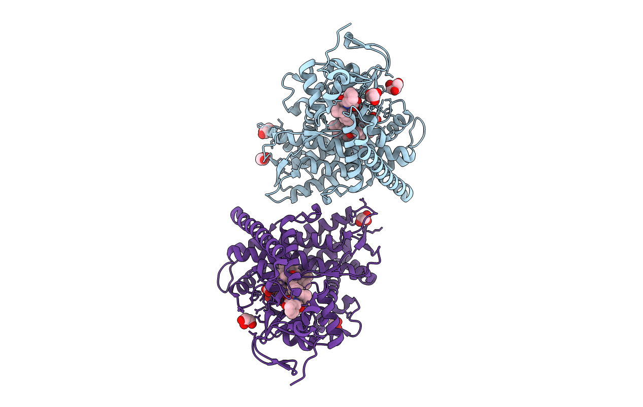6L1B image