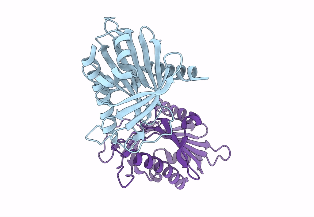 6L1D image