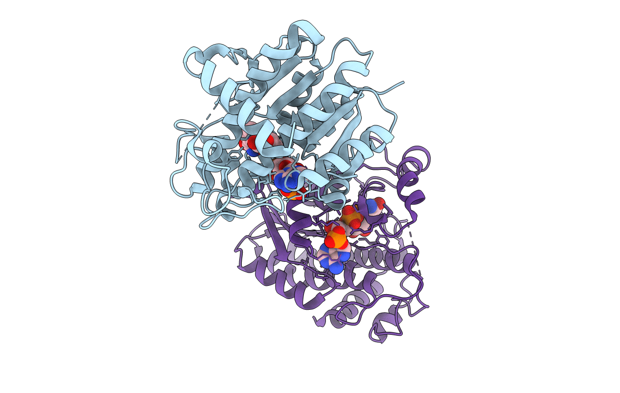 6L1H image