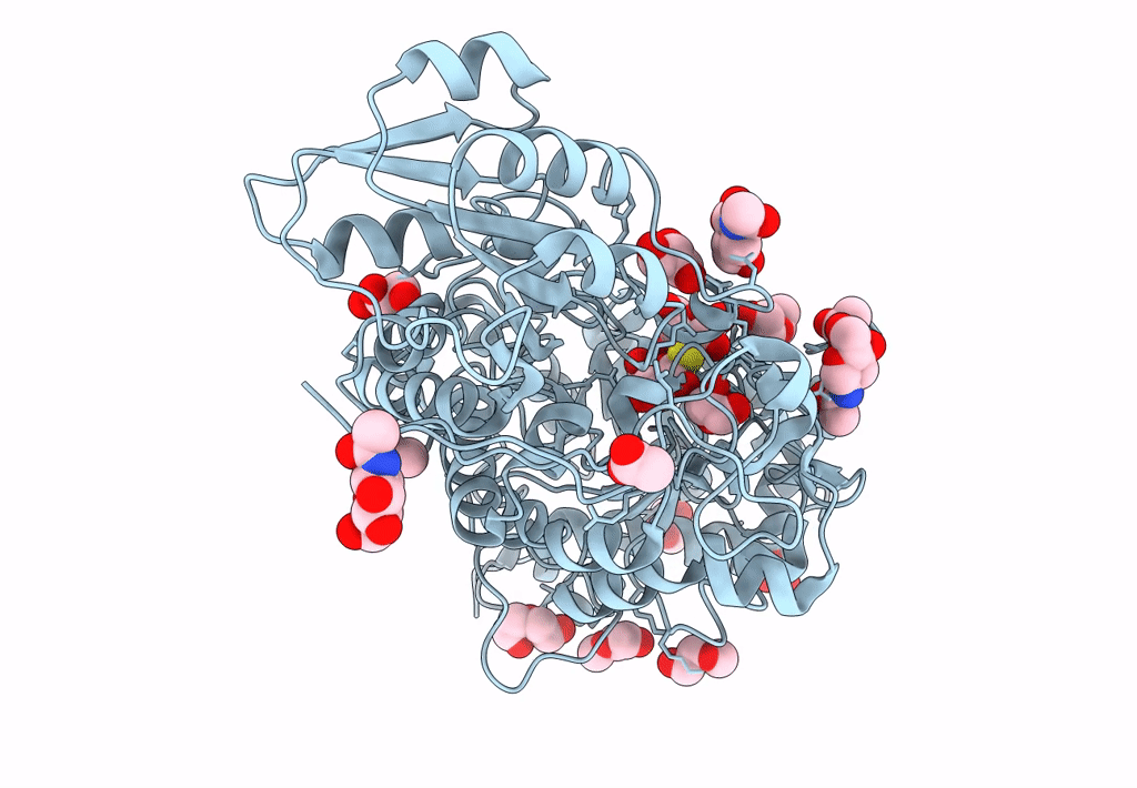6L1J image