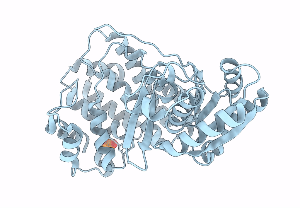 6L1K image
