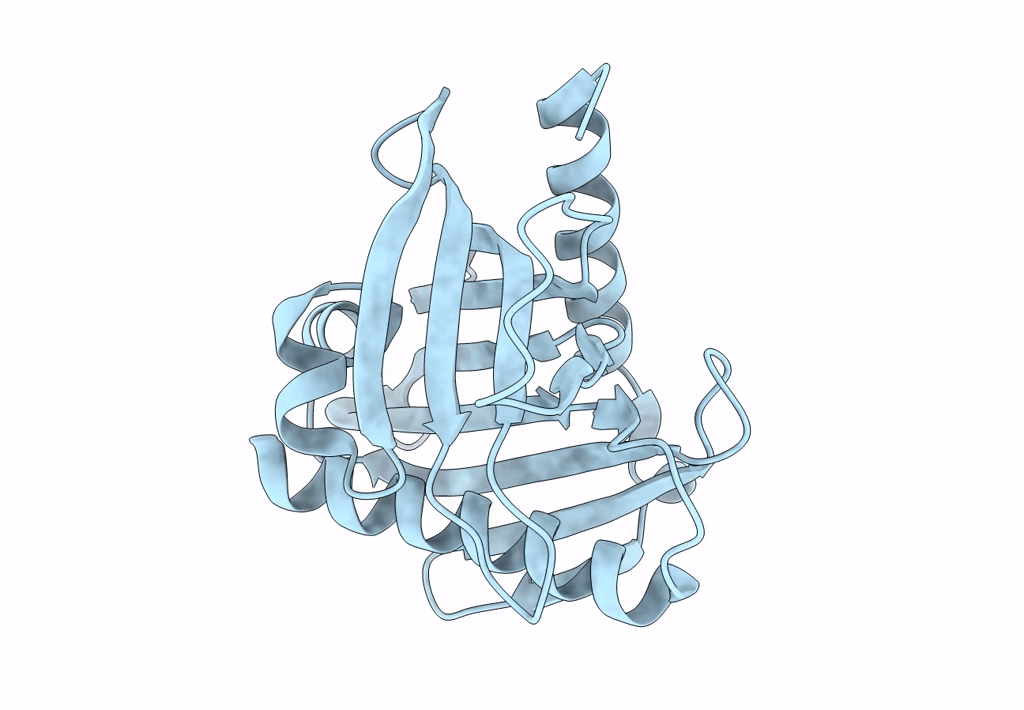 6L1M image