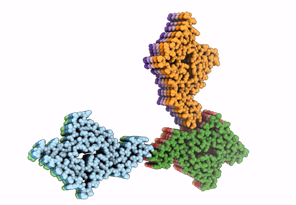 6L1U image