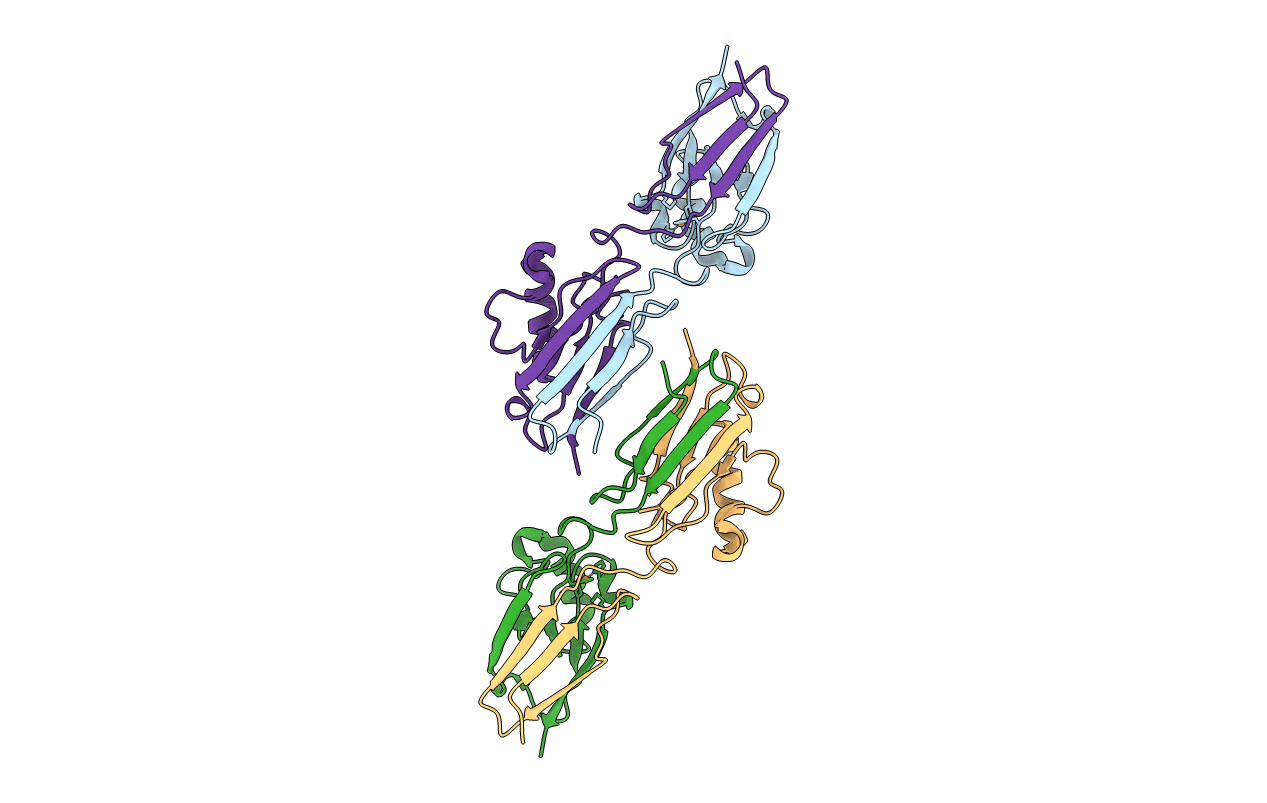 6L1V image