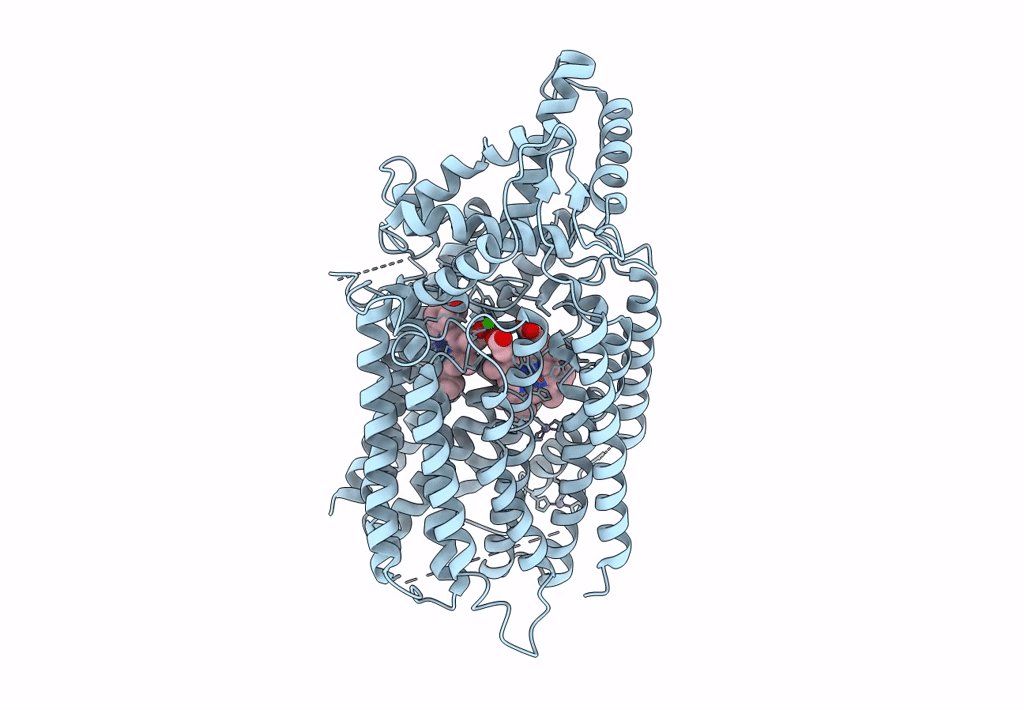 6L1X image