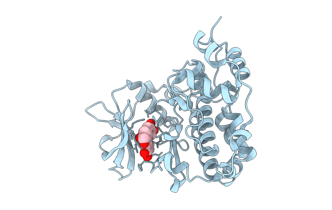 6L21 image
