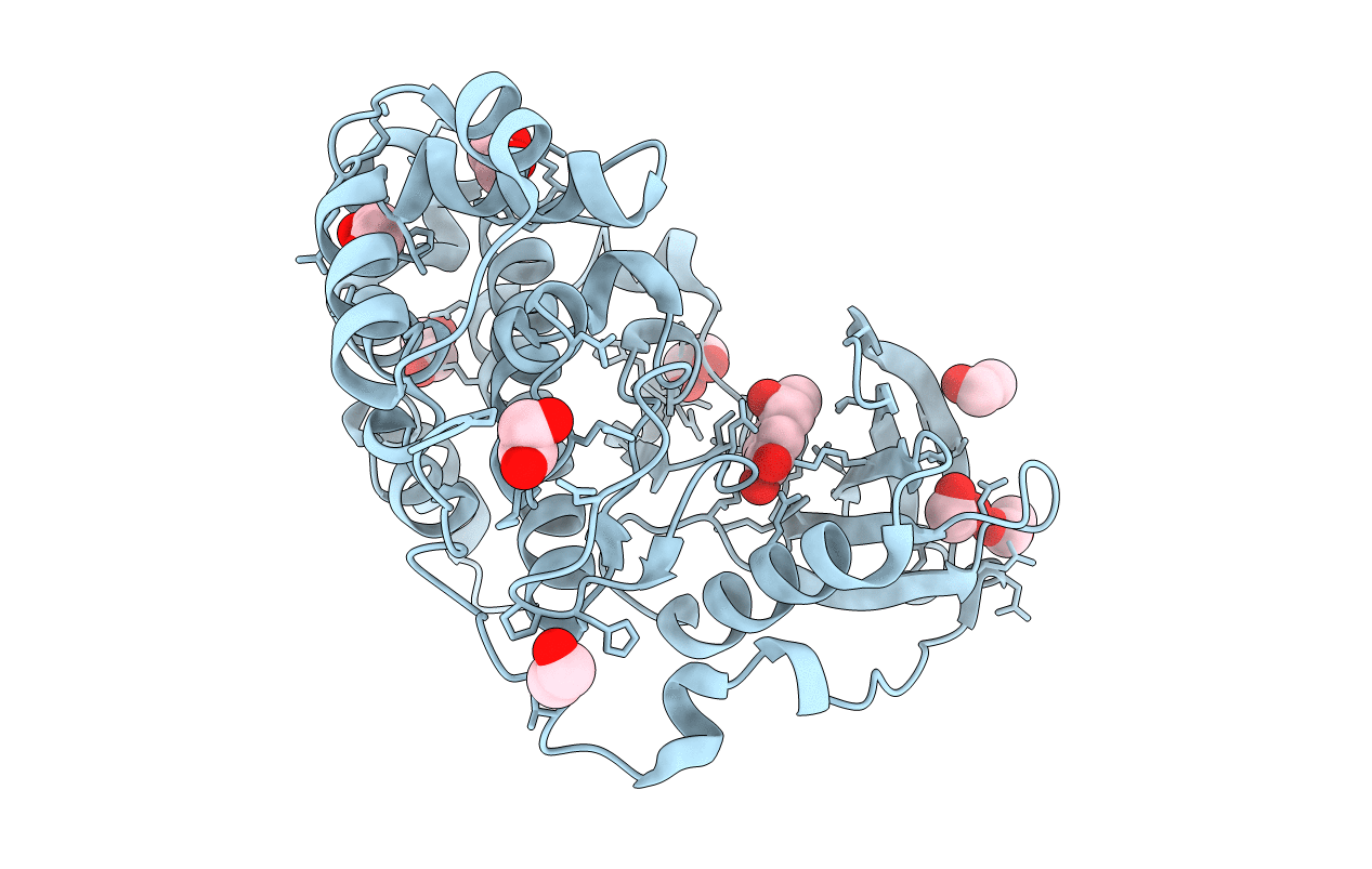 6L23 image