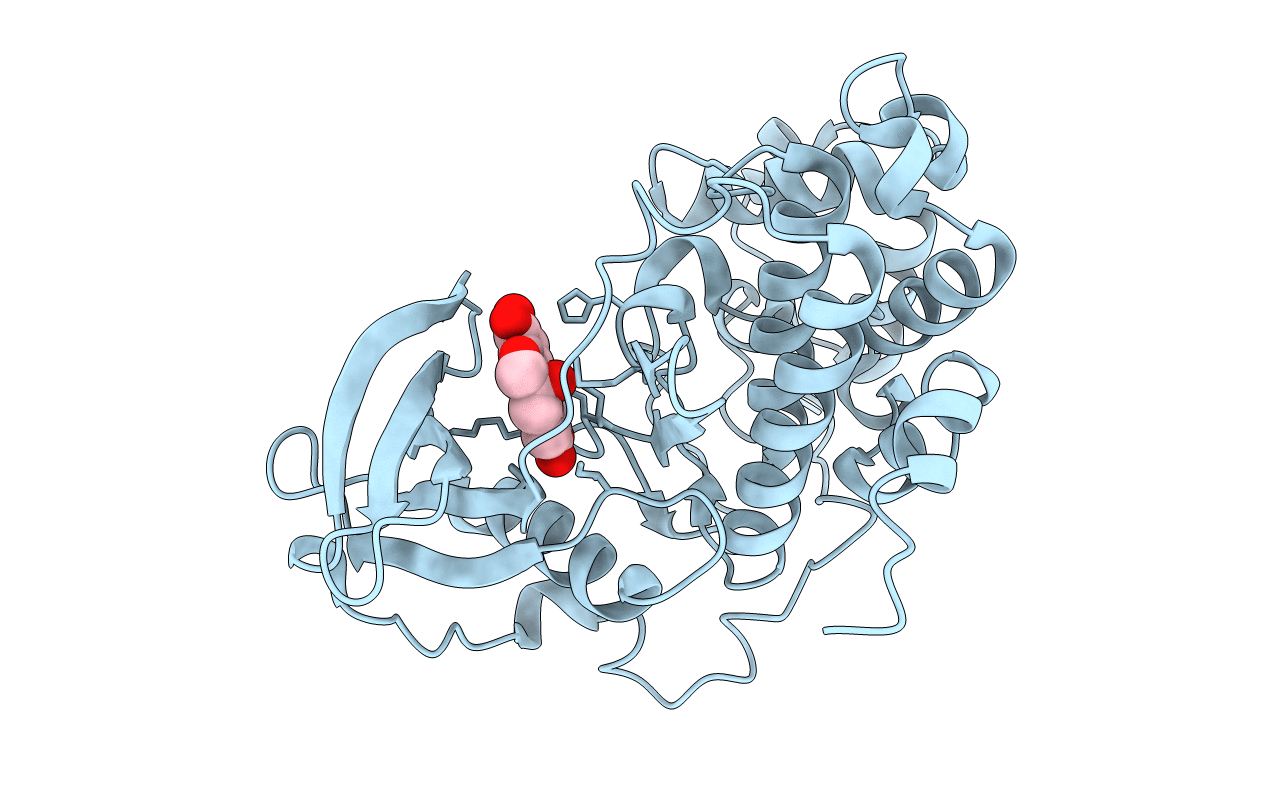 6L24 image