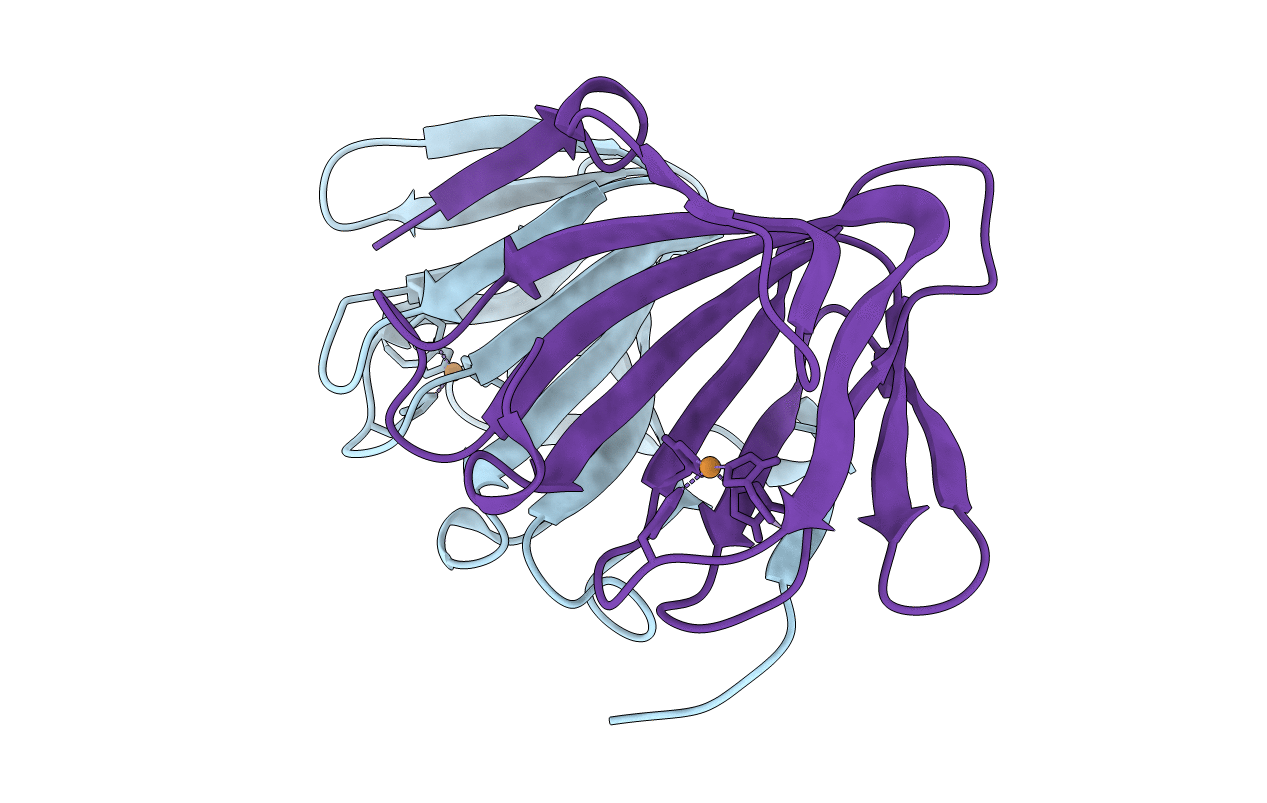 6L2D image