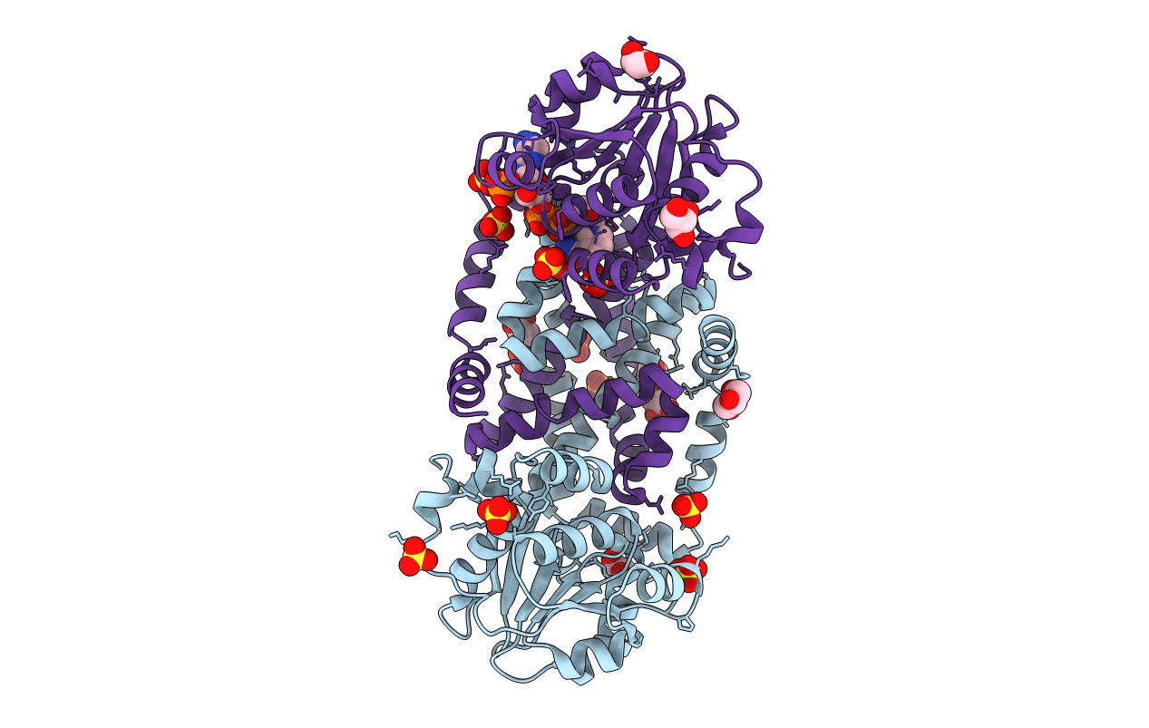6L2I image