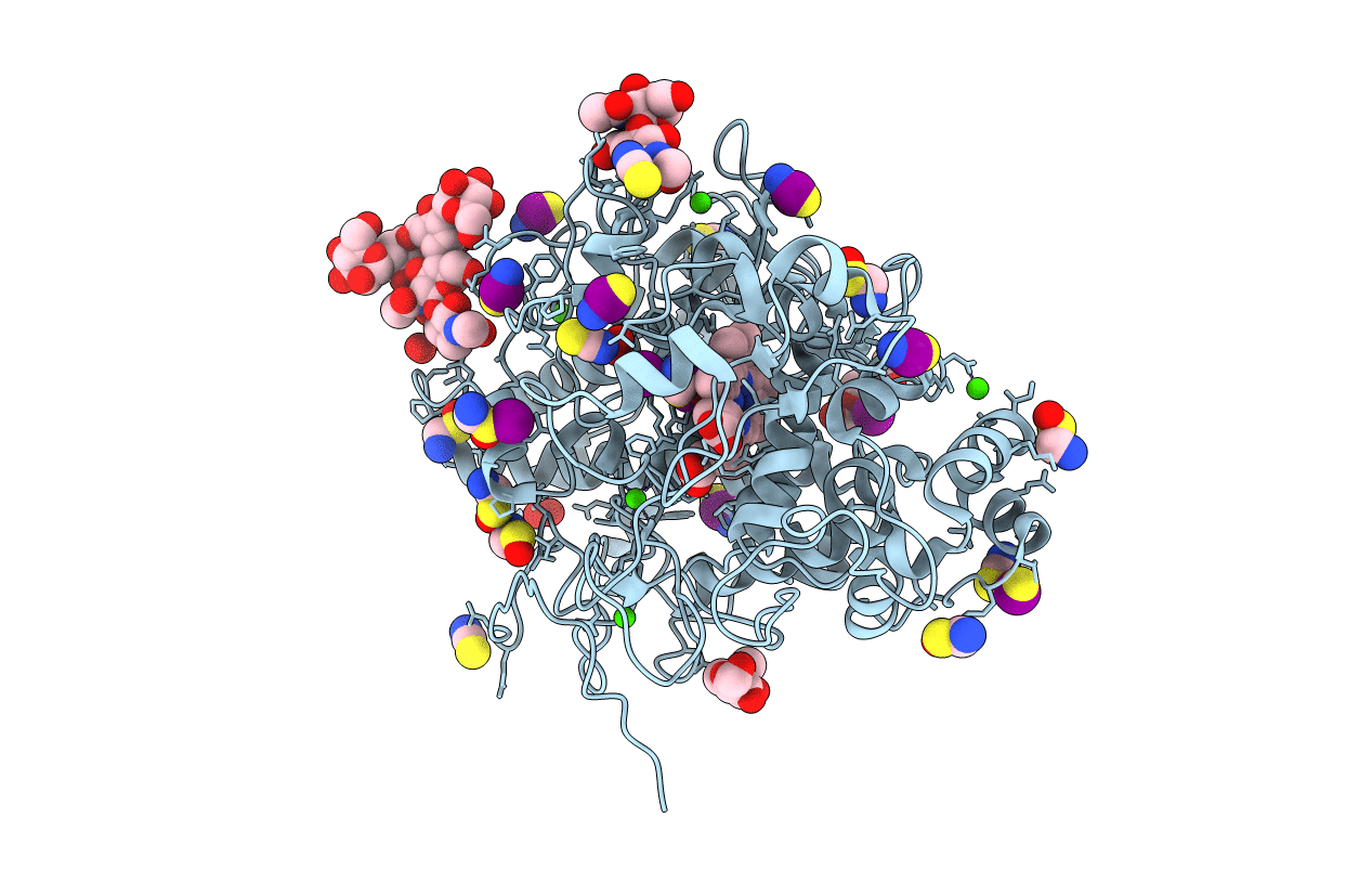 6L2J image