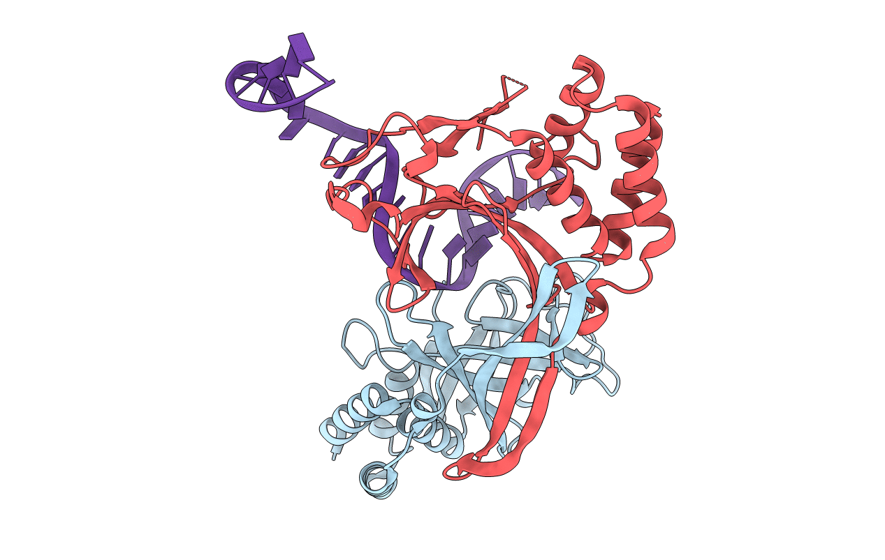 6L2N image