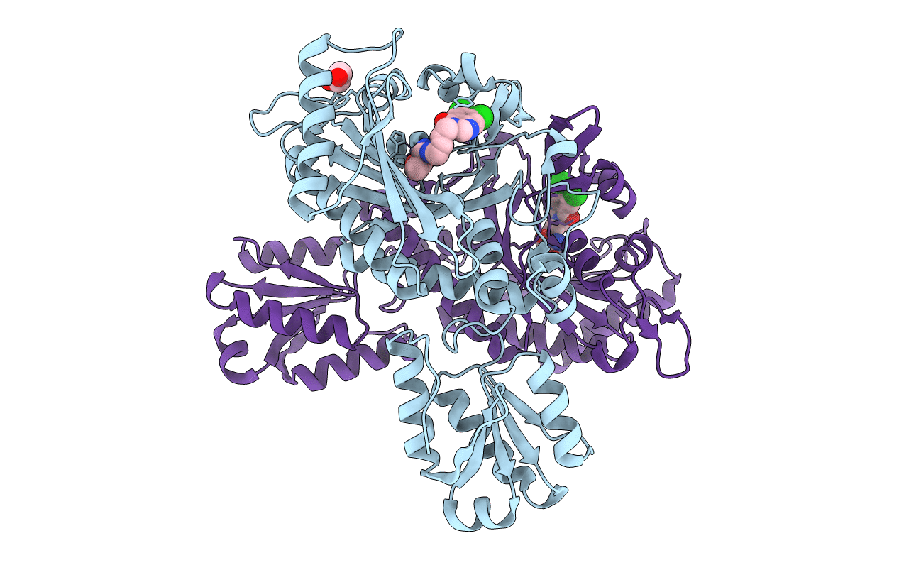 6L2Q image