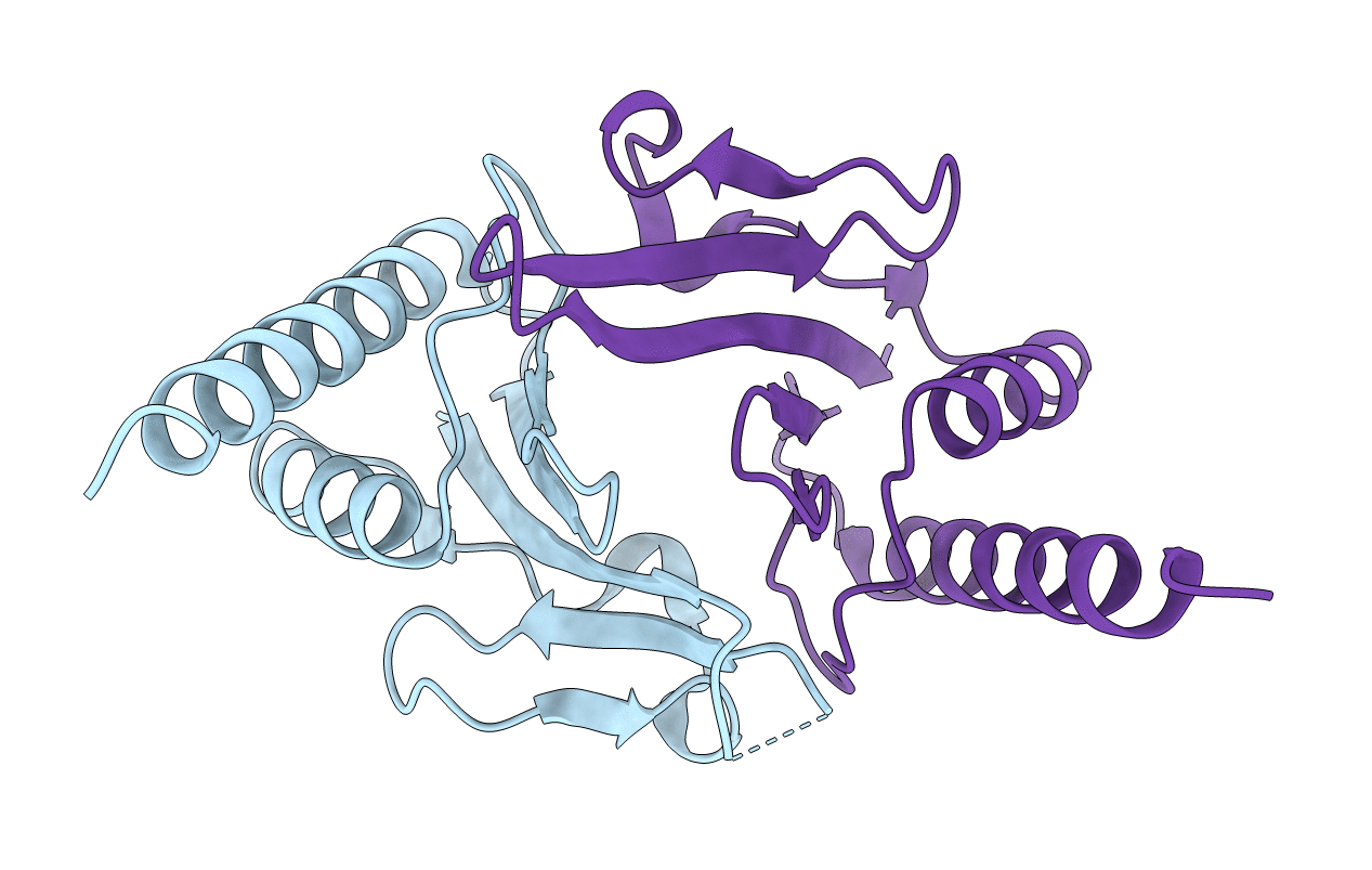 6L2W image