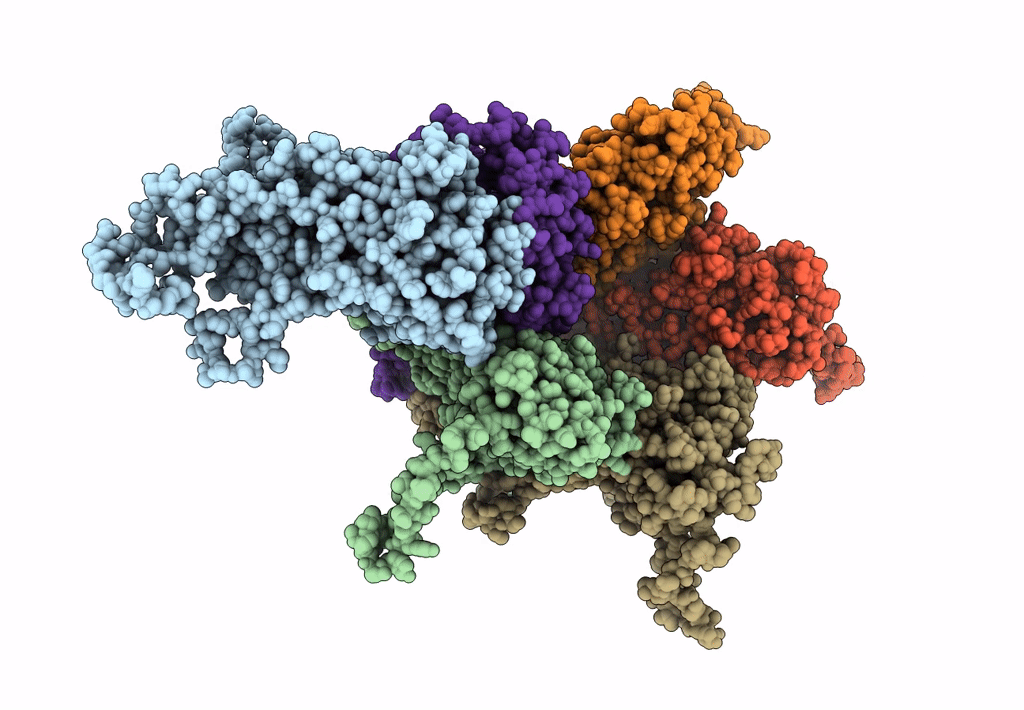 6L31 image