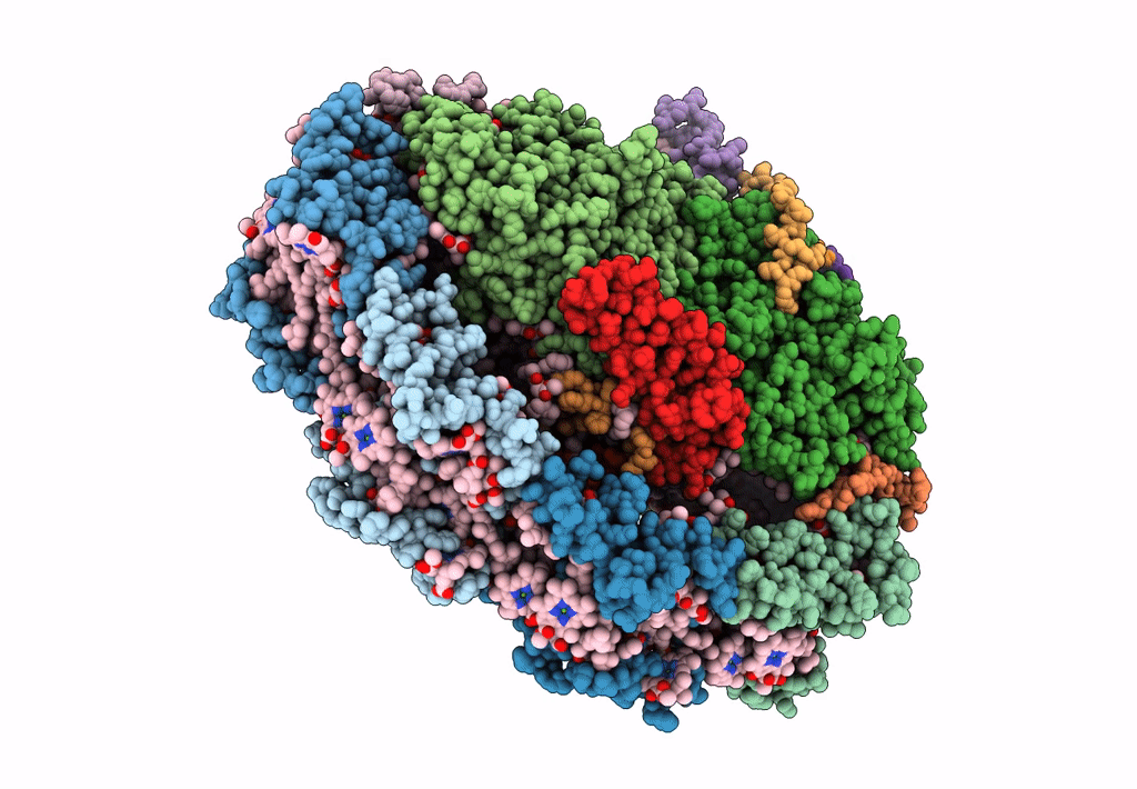 6L35 image