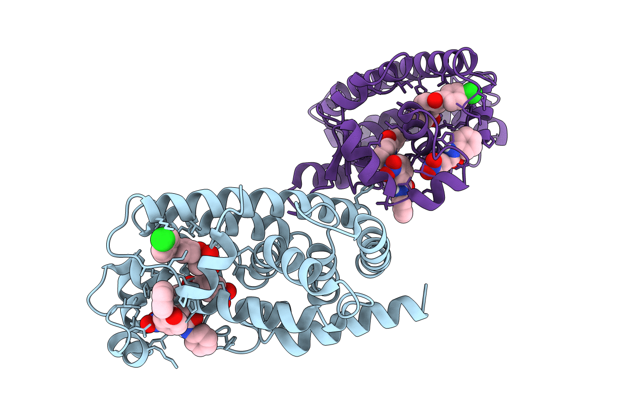 6L36 image