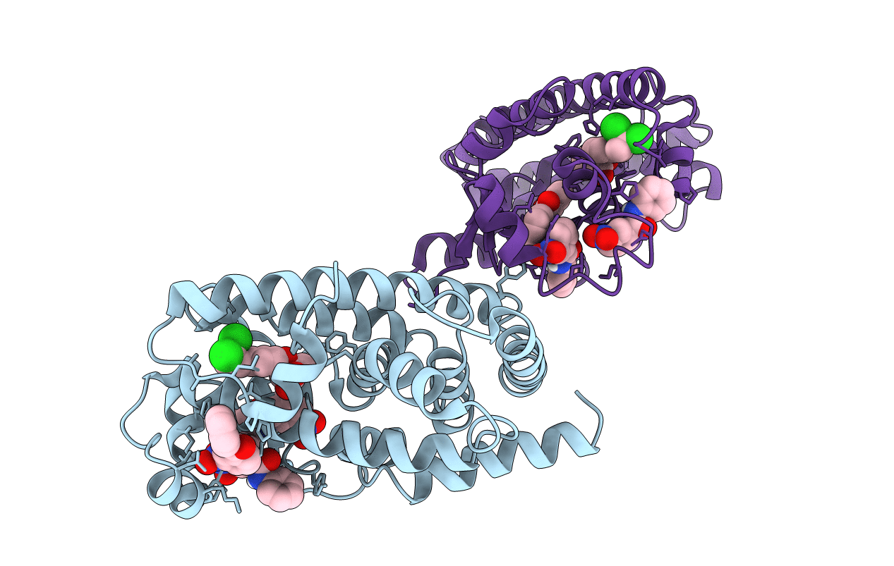 6L37 image
