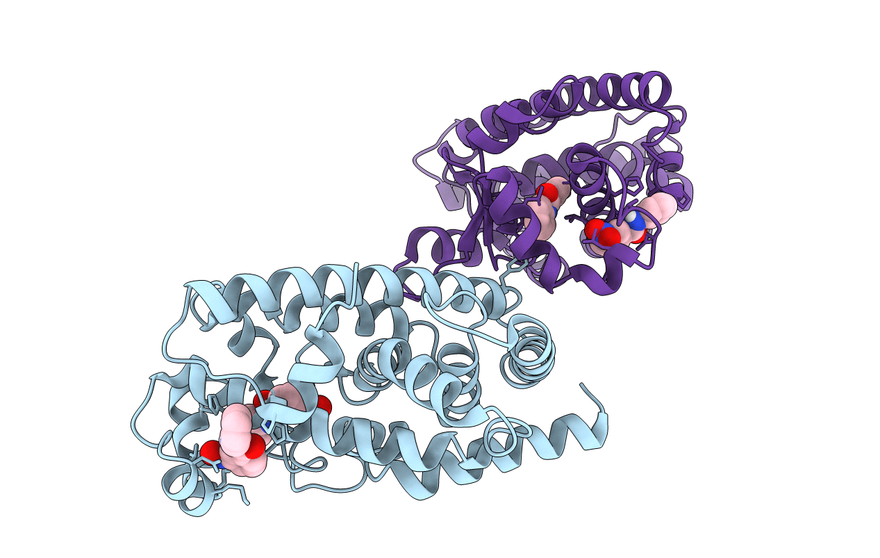 6L38 image
