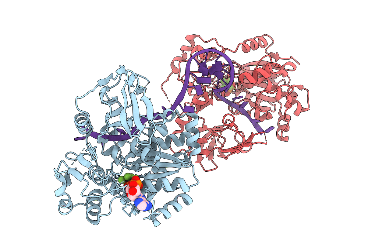 6L3G image