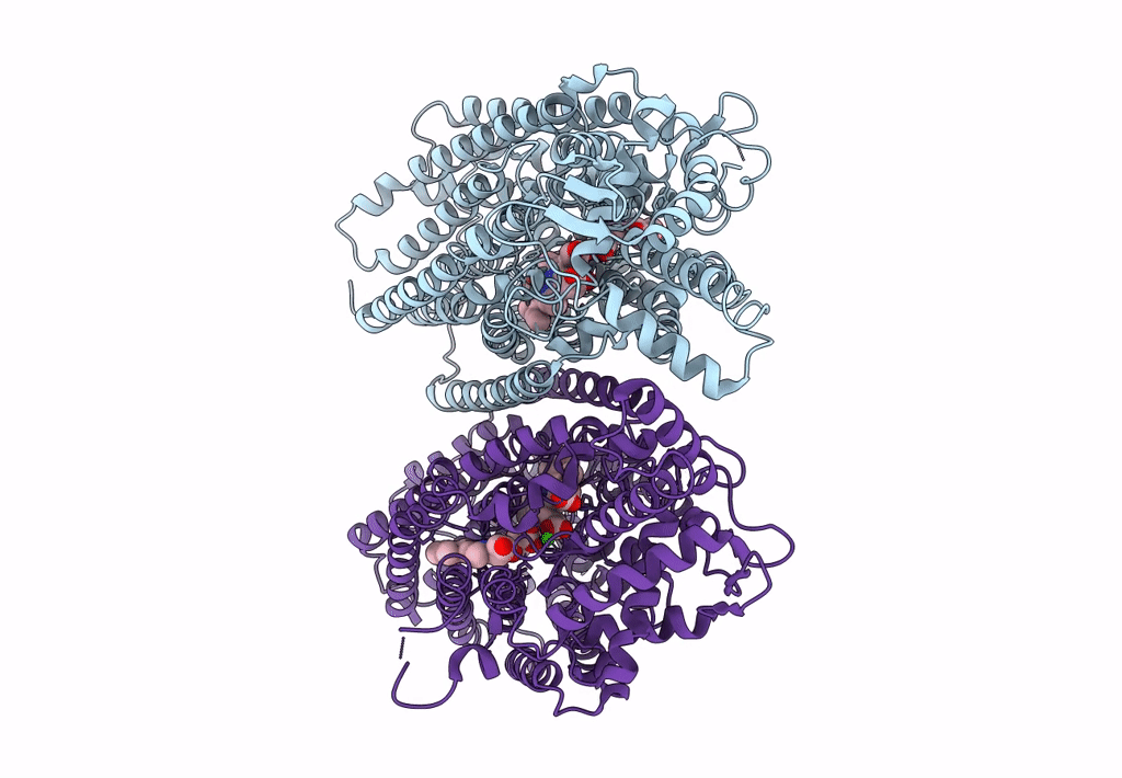 6L3H image