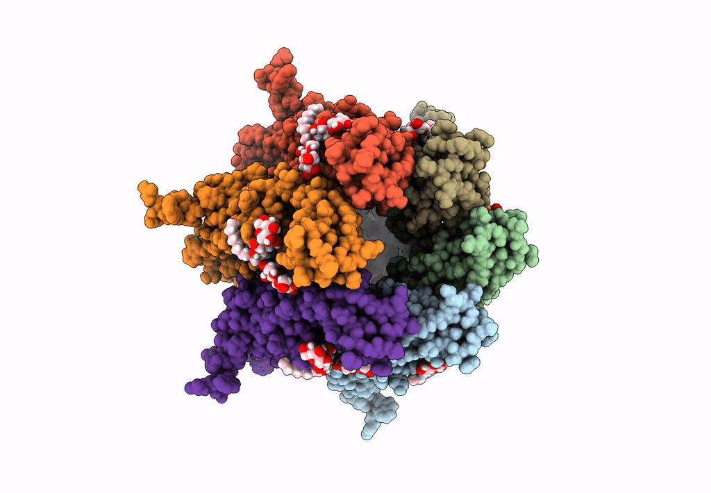 6L3U image
