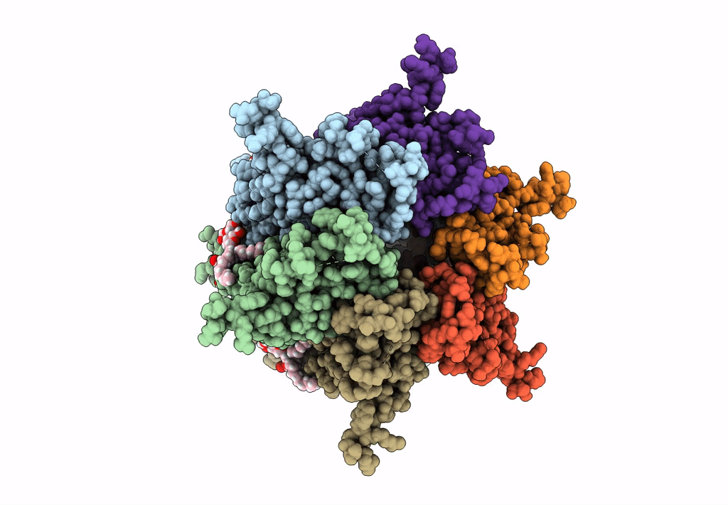 6L3V image