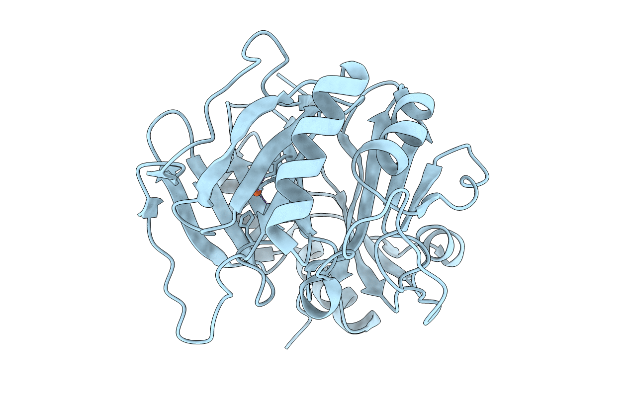 6L3W image