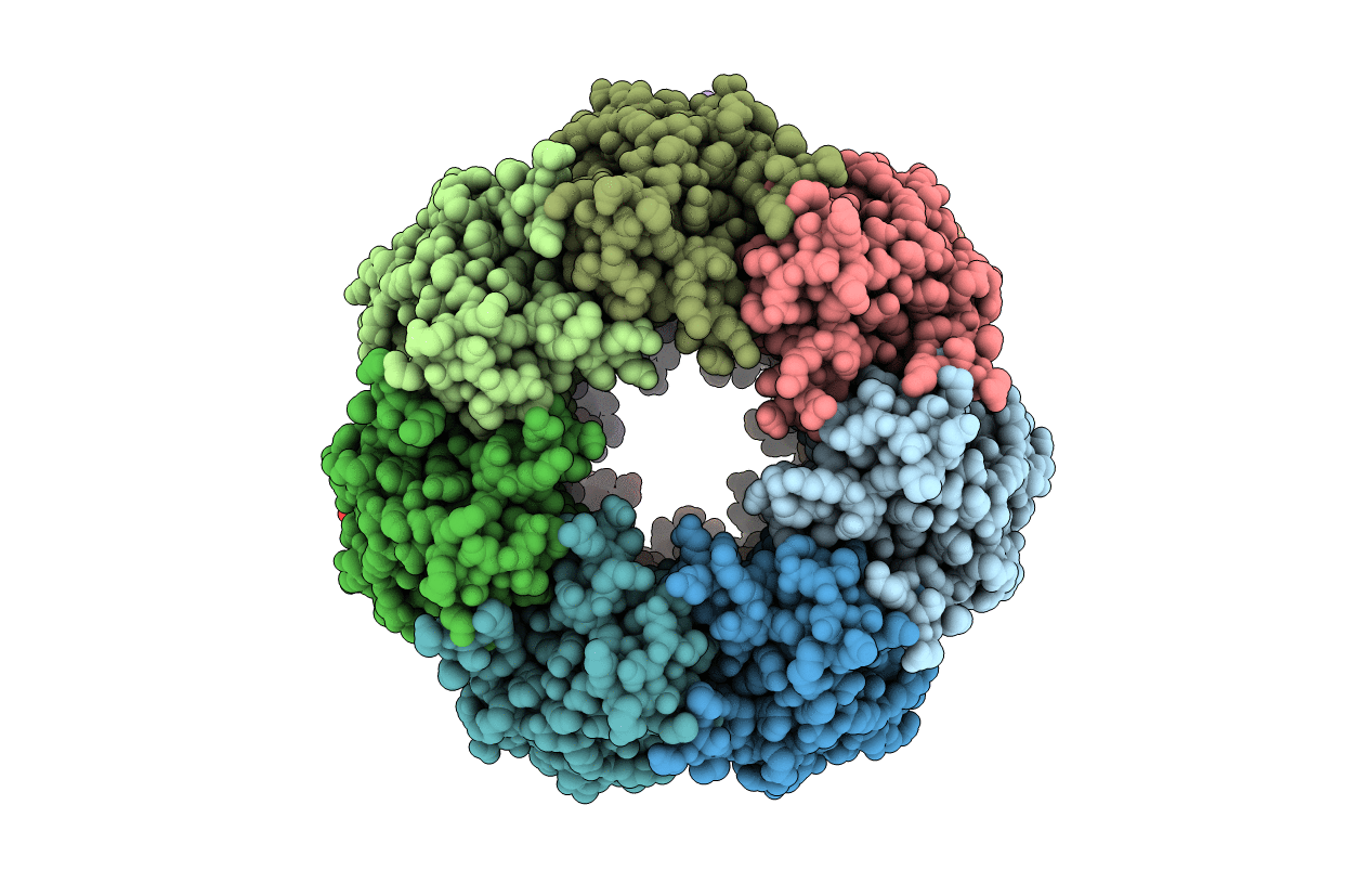 6L3X image