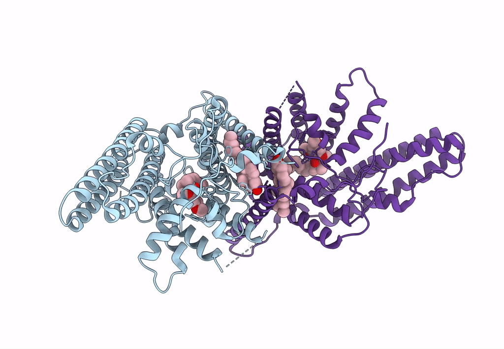 6L47 image