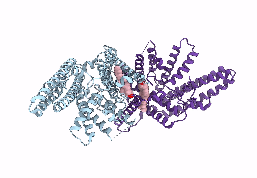 6L48 image