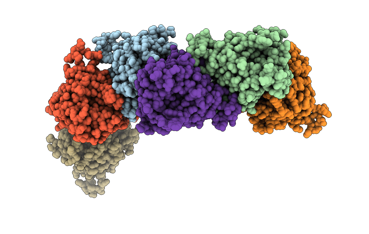 6L4B image