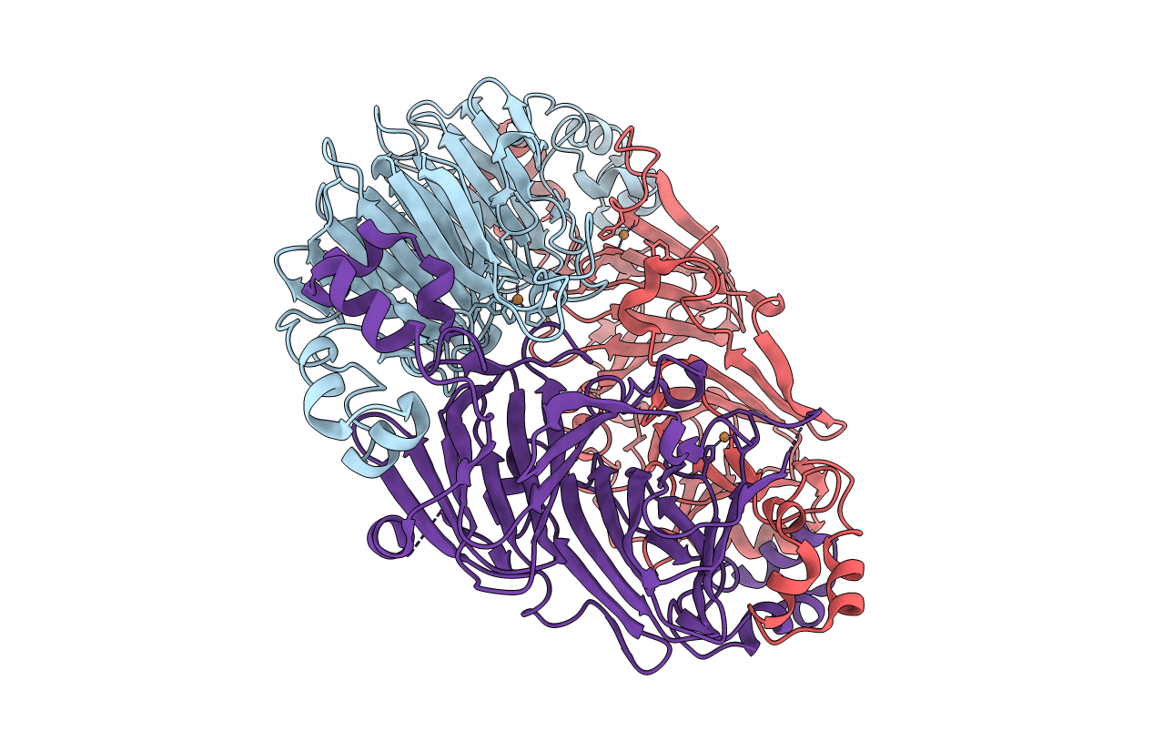 6L4C image
